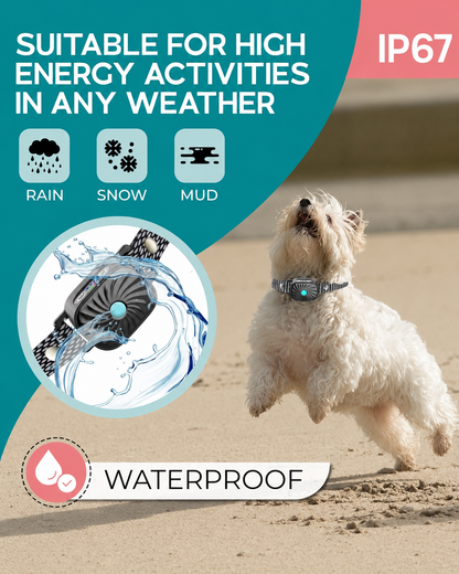 Collier Anti-aboiement Chien Petit Taille Son Vibration