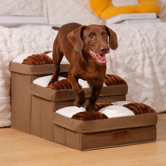 Marches pour Chien avec Rangement pour Canapé - BlxckFR
