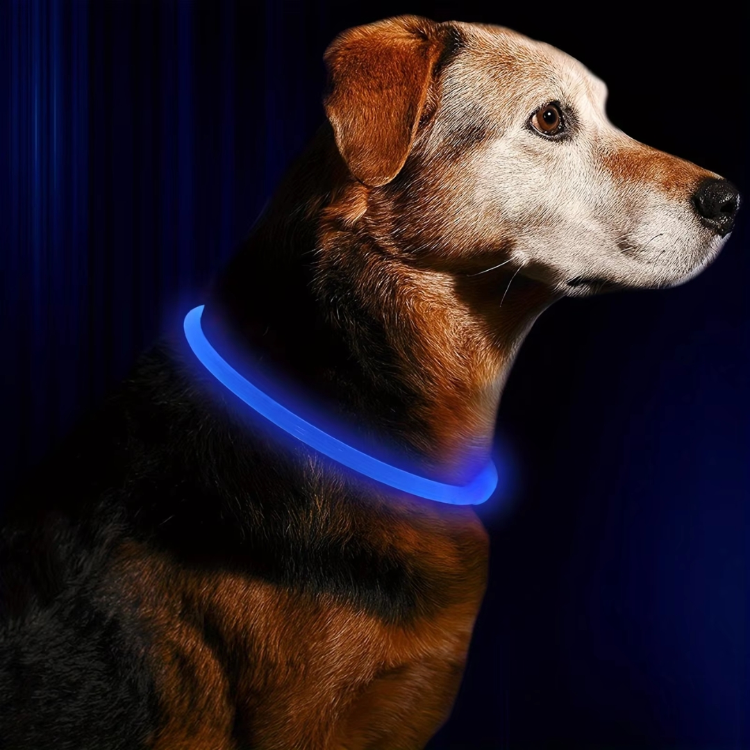 Collier Chien LED Rechargeable Ajustable Pour Promenades Nocturnes 10