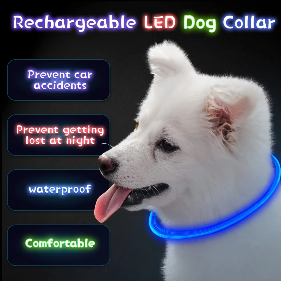 Collier Chien LED Rechargeable Ajustable Pour Promenades Nocturnes 6