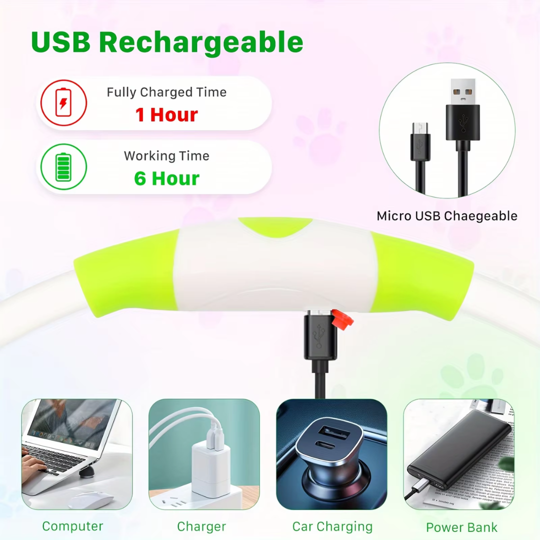 Collier Chien LED Rechargeable Ajustable Pour Promenades Nocturnes 8