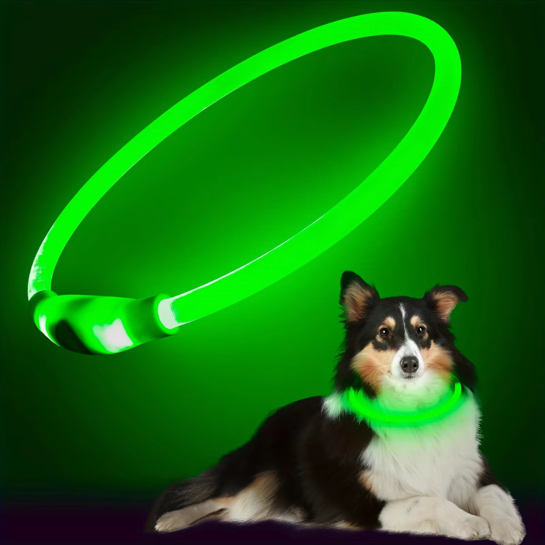Collier Chien LED Rechargeable Ajustable Pour Promenades Nocturnes 9