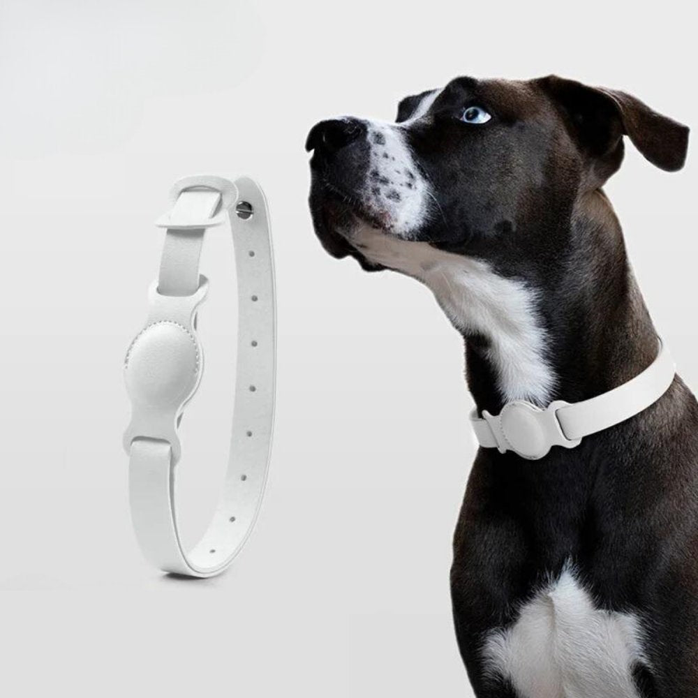 Collier Chien Luxe Avec AirTag Intégré Design Pratique 3