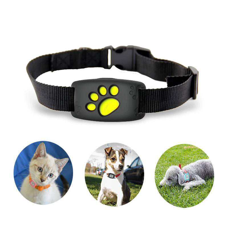 Collier GPS pour Chat Intelligent 4