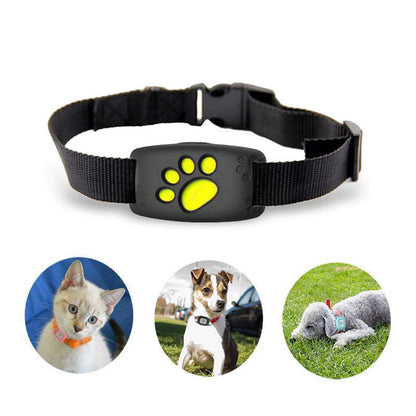 Collier GPS pour Chat Intelligent 4