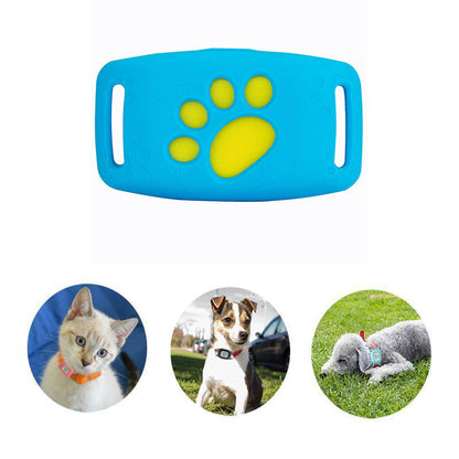Collier GPS pour Chat Intelligent 5