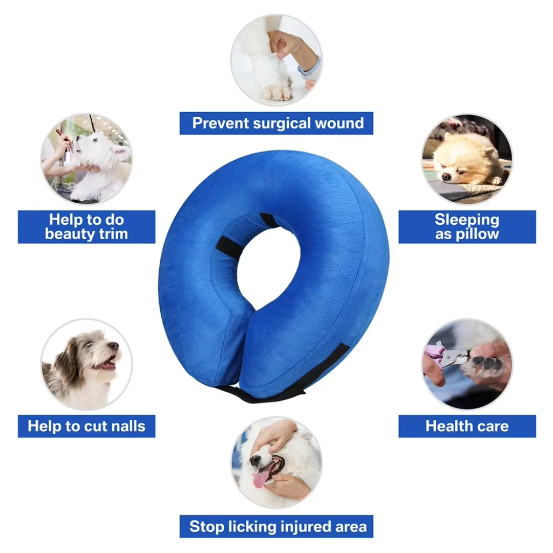 Collier Gonflable Ajustable Pour Chien Confortable 7