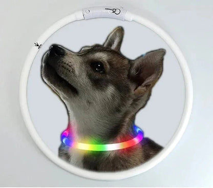 Collier Lumineux Animal LED Rechargeable Ajustable - Foivo
