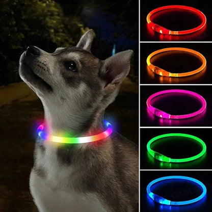 Collier Lumineux pour Chiens et Chats avec LED Rechargeable 1