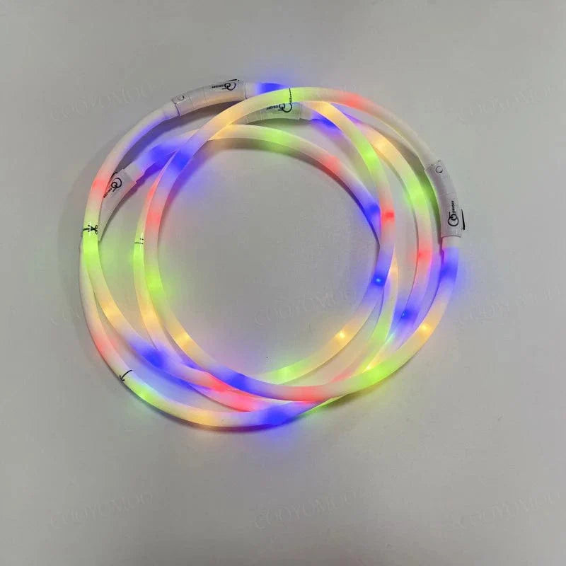 Collier Lumineux pour Chiens et Chats avec LED Rechargeable 2