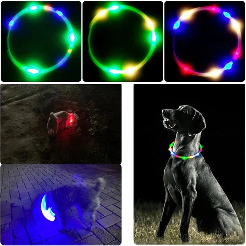 Collier Lumineux pour Chiens et Chats avec LED Rechargeable 4