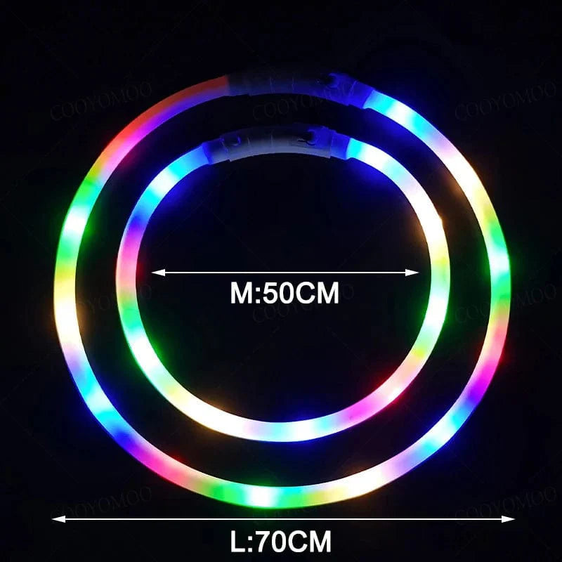 Collier Lumineux pour Chiens et Chats avec LED Rechargeable 5