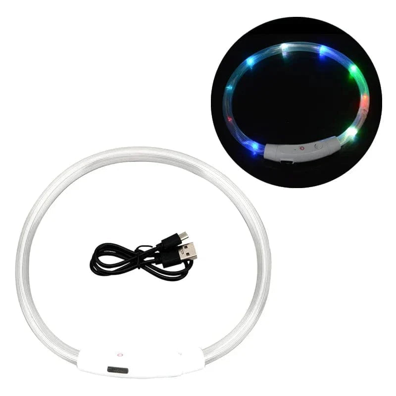 Collier Lumineux pour Chiens et Chats avec LED Rechargeable 6