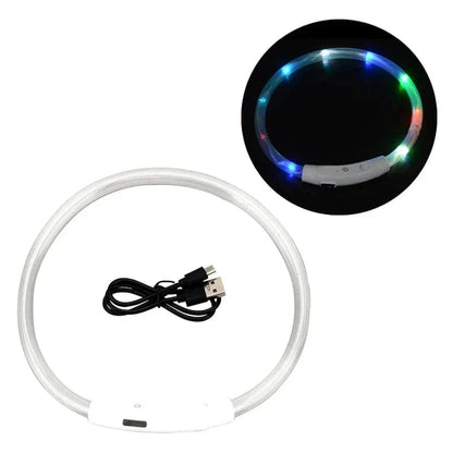 Collier Lumineux pour Chiens et Chats avec LED Rechargeable 6