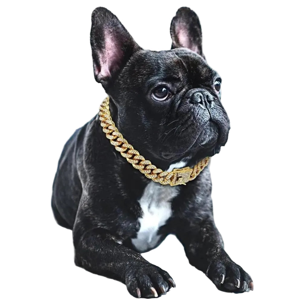 Collier Chien Design Brillant Ajustable - Foivo