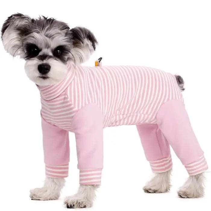 Combinaison de Récupération pour Chien à Manches Longues 7