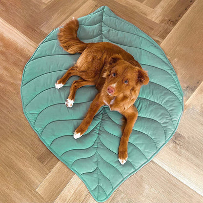 Couverture Douillette pour Chien, Grand Plaid de Compagnie