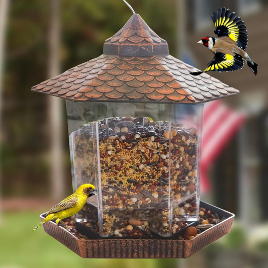 Mangeoire Oiseaux Design Suspendu avec Réservoir en Verre - Foivo