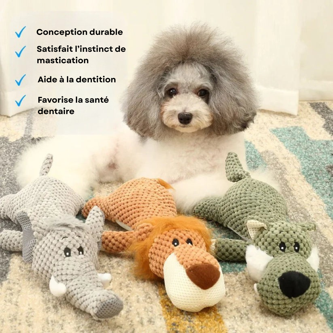Jouet Mâchouilleur Chien Indestructible - blxckfr