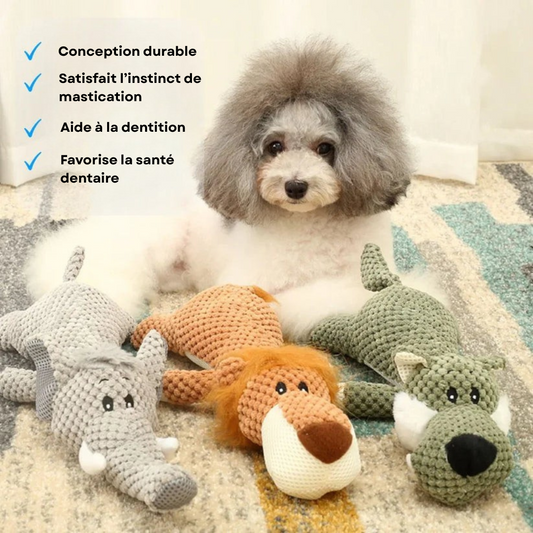 Jouet Mâchouilleur Chien Indestructible - blxckfr