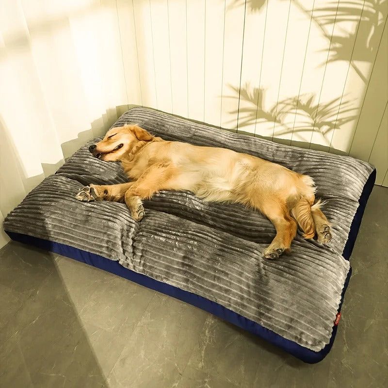 Coussin pour chien Housse amovible Bords surélevés Antidérapant - Foivo