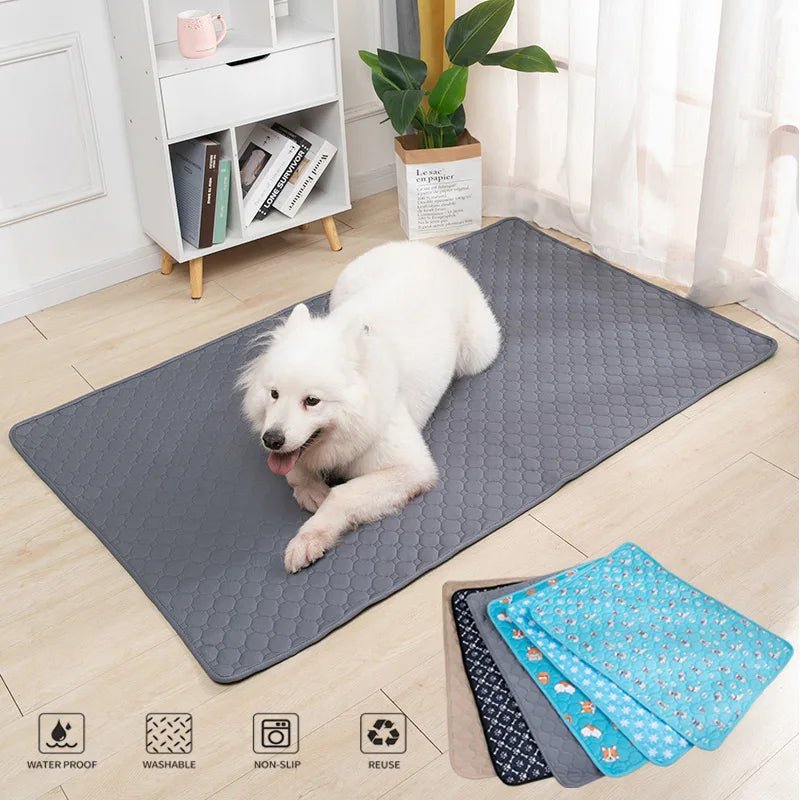 Coussinets Lavables pour Chiens EcoComfort 1
