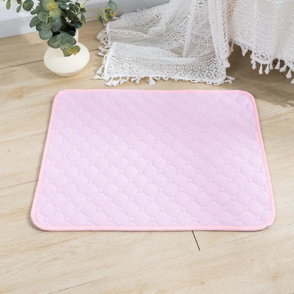 Coussinets Lavables pour Chiens EcoComfort 13