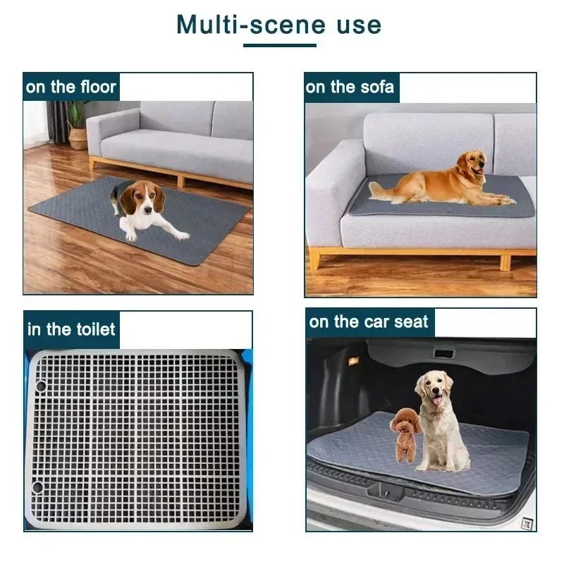 Coussinets Lavables pour Chiens EcoComfort 2