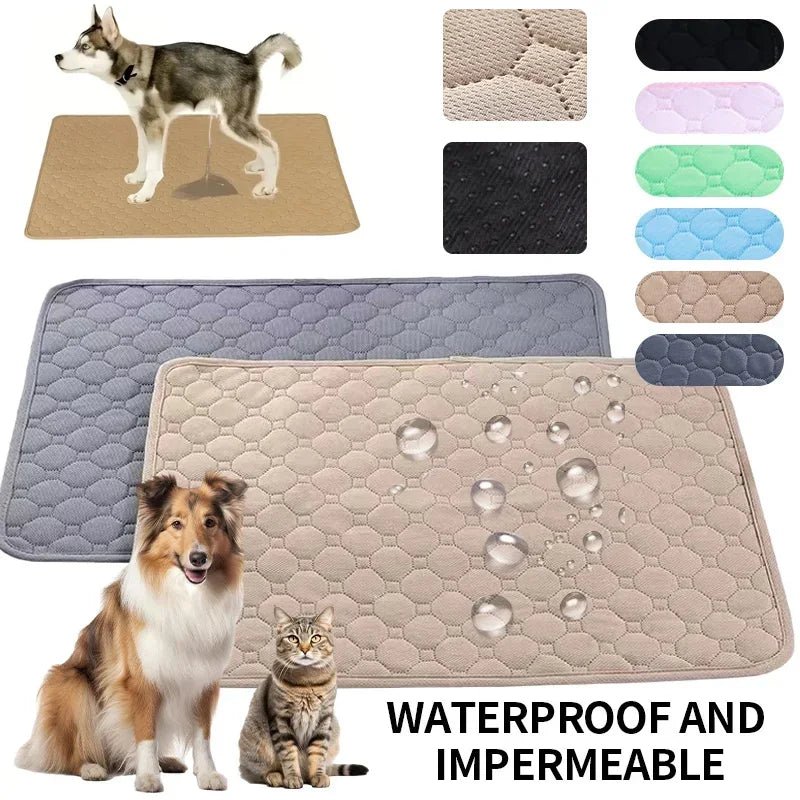 Coussinets Lavables pour Chiens EcoComfort 5