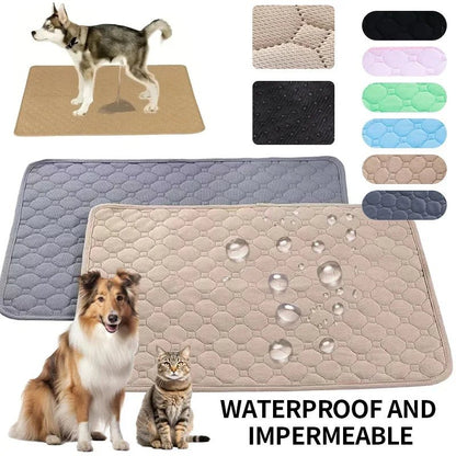 Coussinets Lavables pour Chiens EcoComfort 5