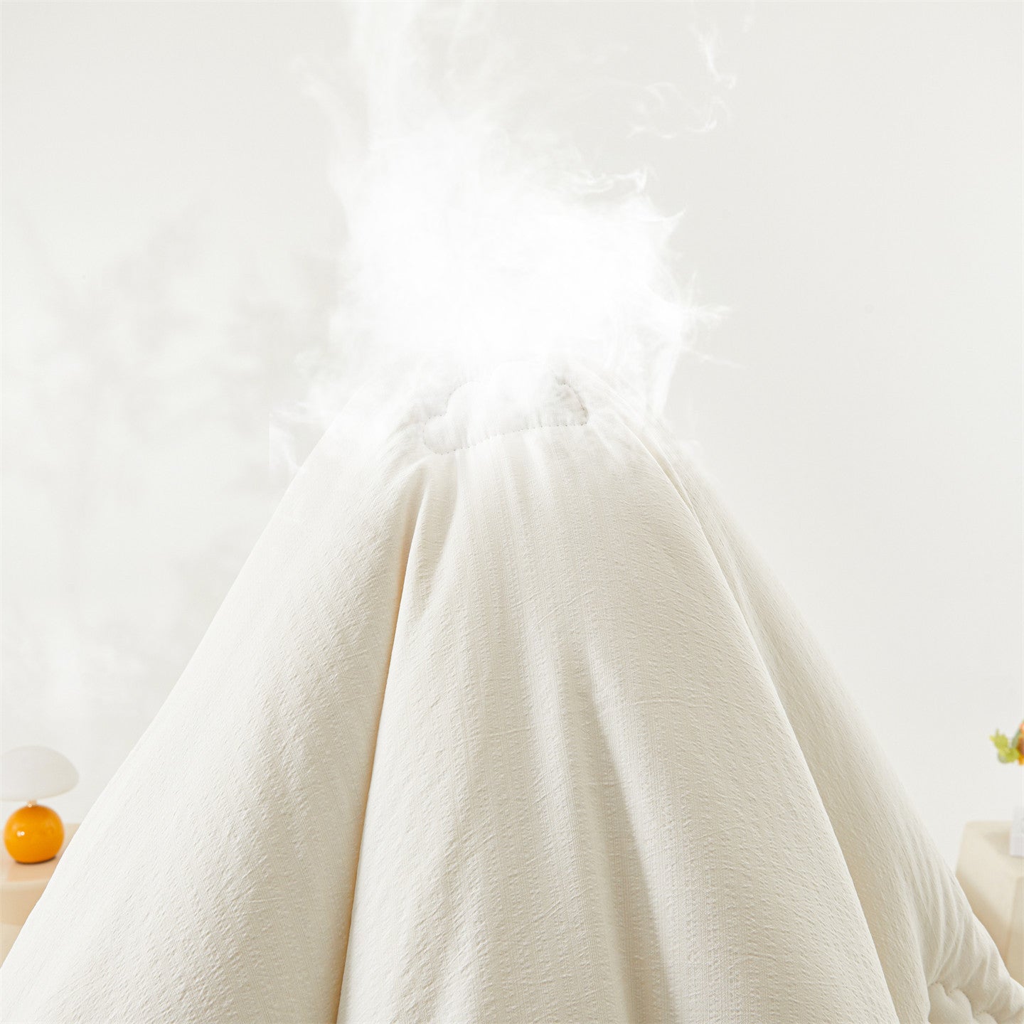 Couverture pour femmes en duvet confortable 1