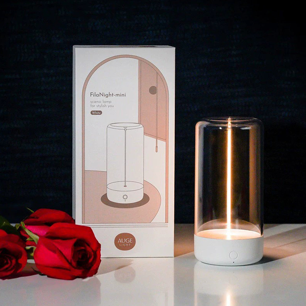 Lampe de Bureau LED Portable et Réchargeable