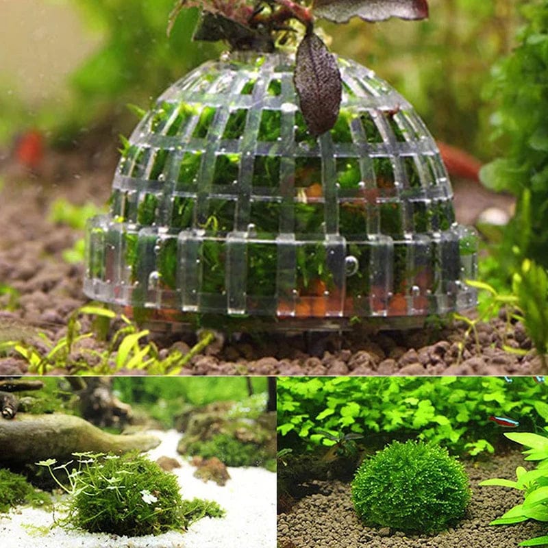 Décoration Aquarium Mousse Naturelle pour Aménagement Aquatique 2