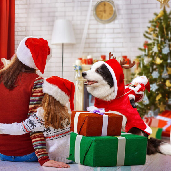 Déguisement Noël Chien Festif Avec Motifs Colorés 1