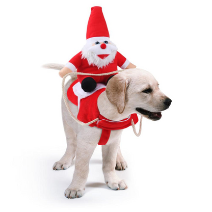 Déguisement Noël Chien Festif Avec Motifs Colorés 7