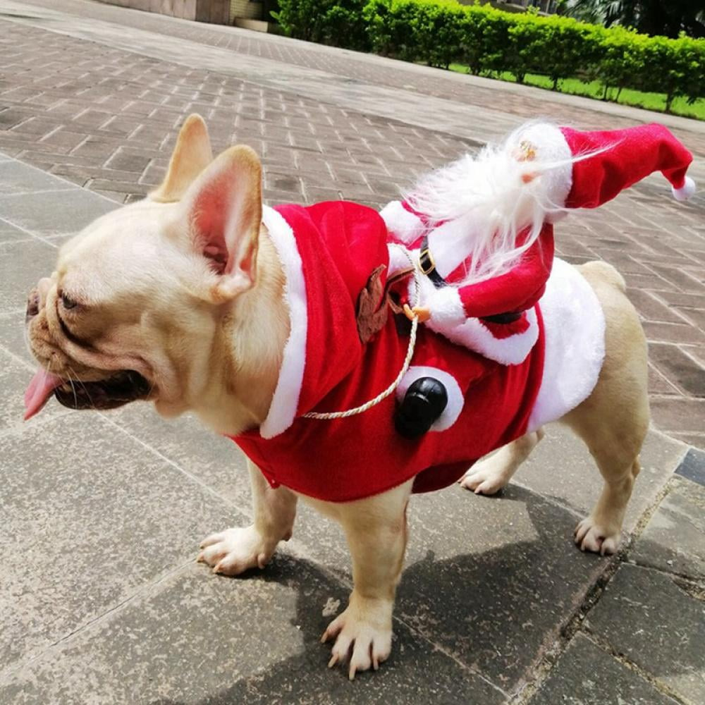 Déguisement Noël Chien Festif Avec Motifs Colorés 8