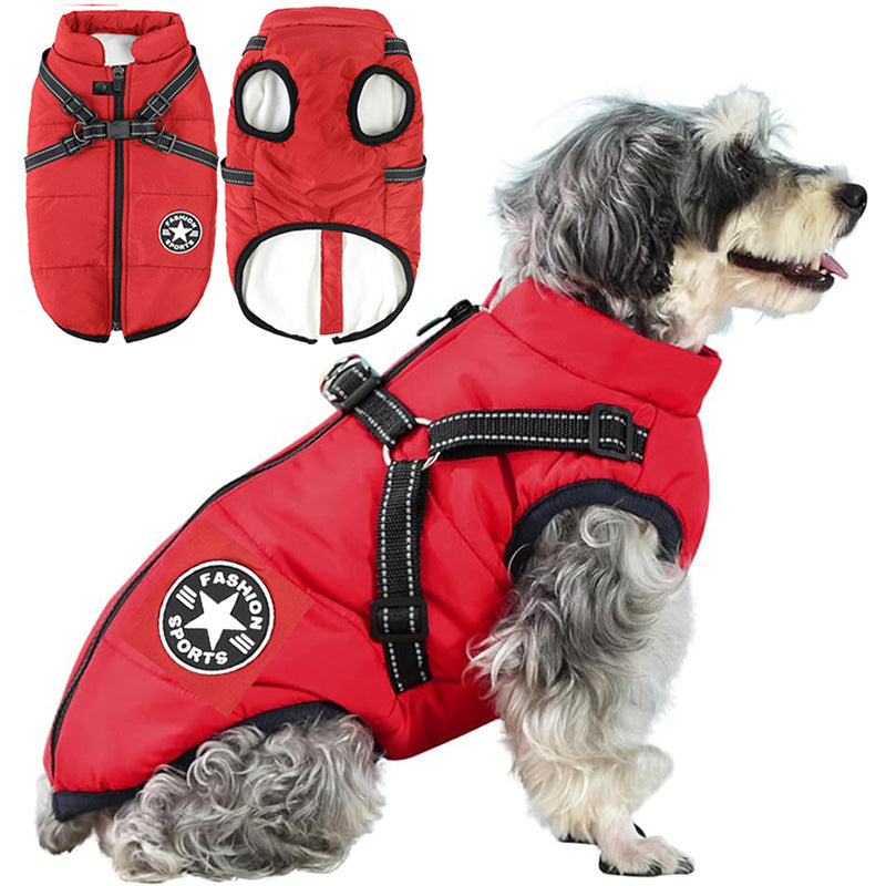 Manteau Chien Douillet Hiver - blxckfr