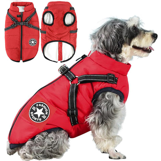 Manteau Chien Douillet Hiver - blxckfr