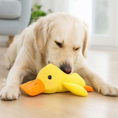 Jouet Canin Doux en Peluche pour Mâcher