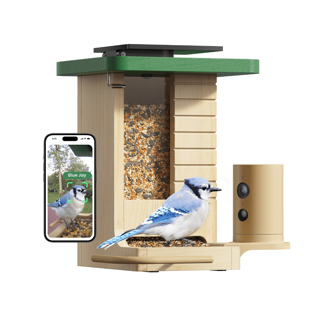 Mangeoire Aviaire Connectée en Bois avec Caméra - blxckfr