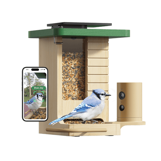 Mangeoire Aviaire Connectée en Bois avec Caméra - blxckfr