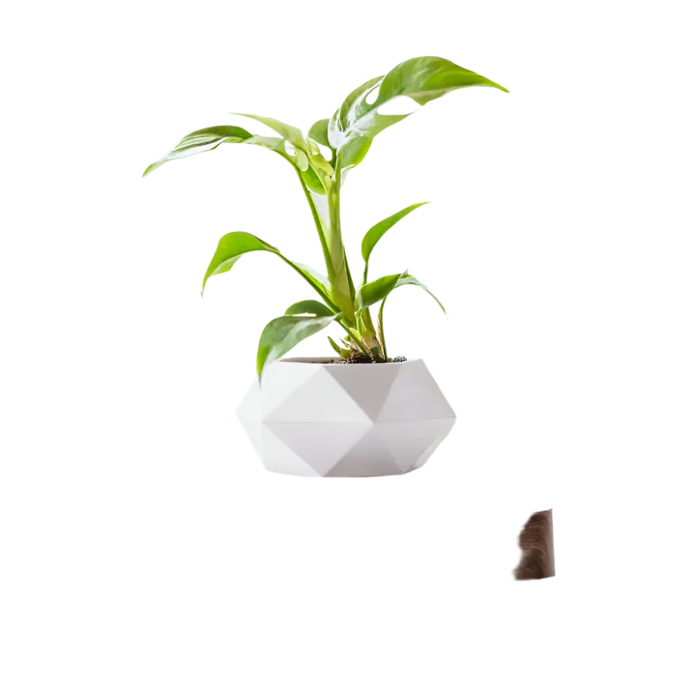 Jardinière Décorative Tournante Moderne