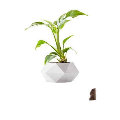 Jardinière Décorative Tournante Moderne