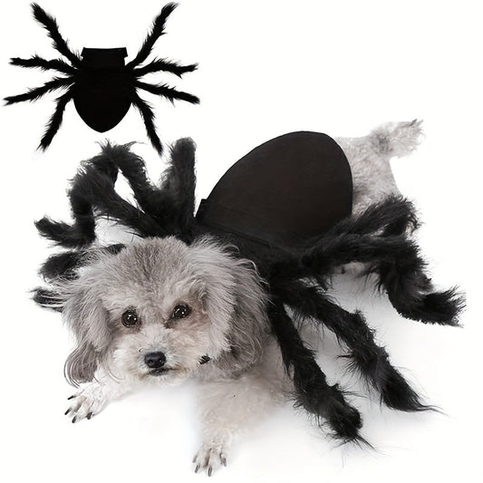 Déguisement Chien Araignée Effrayant et Mignon - Foivo