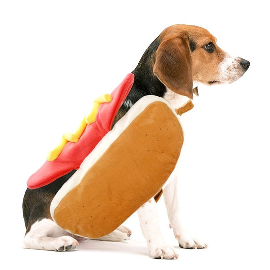 Costume Chien Hot Dog Mignon et Douillet - Foivo