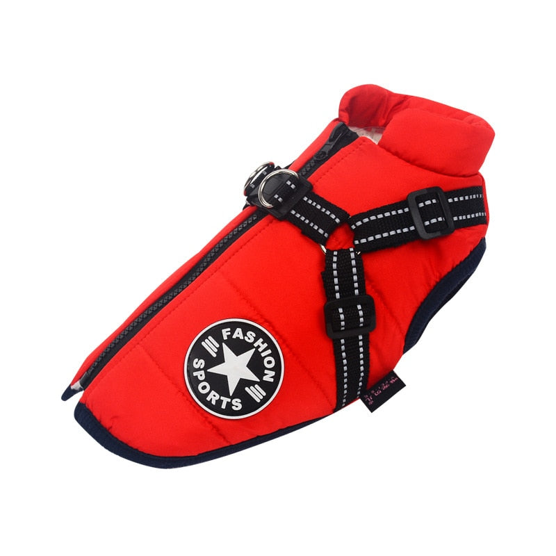 Manteau Chien Douillet avec Harnais de Sécurité
