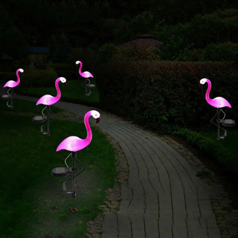Lampe Solaire Jardin Colorée Écologique