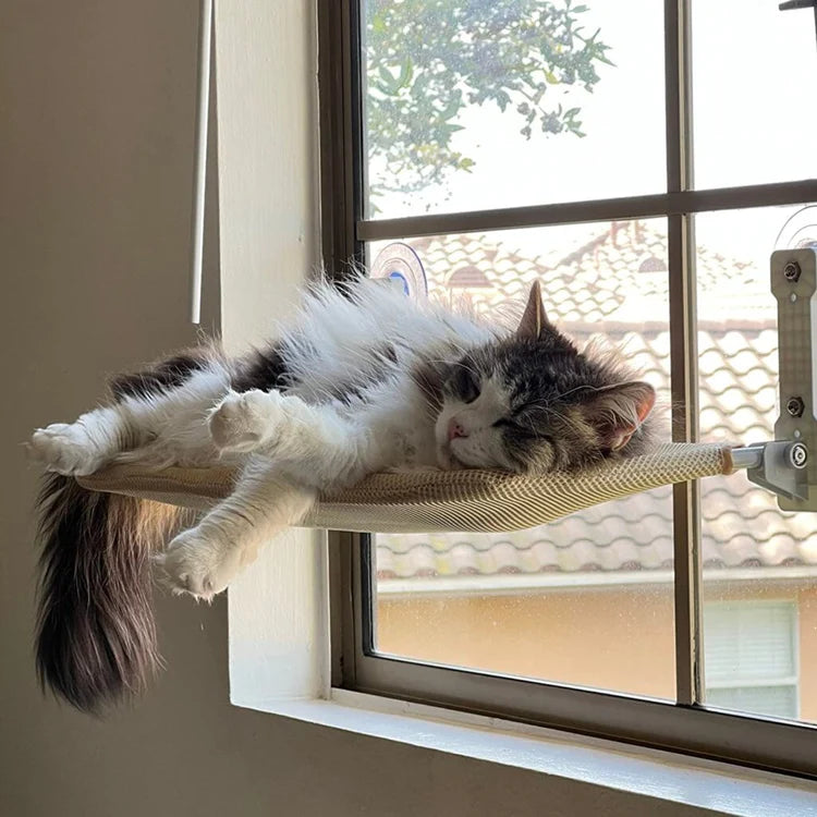 Hamac de fenêtre pour chat confortable 2