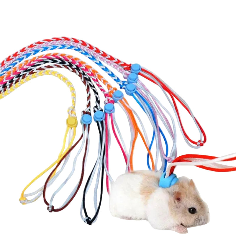 Harnais et Laisse Réglables pour Hamster Confortables - Foivo