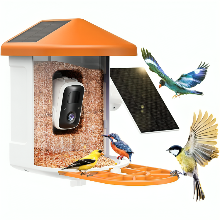 Nid d'Oiseau Intelligent avec Caméra et Détection de Mouvement Avancée